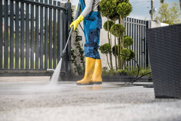 Best Restaurant Pressure Washing  in Rolla, ND